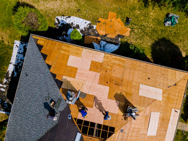 Best Roof Restoration Services  in Des C, AR